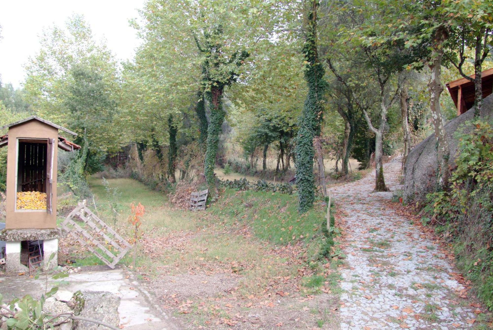 Quinta Da Veiga E Malhadoira Pension Vieira do Minho Buitenkant foto
