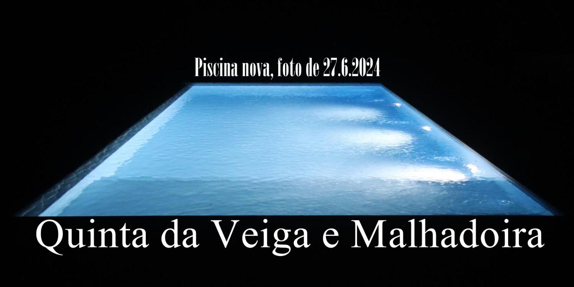 Quinta Da Veiga E Malhadoira Pension Vieira do Minho Buitenkant foto