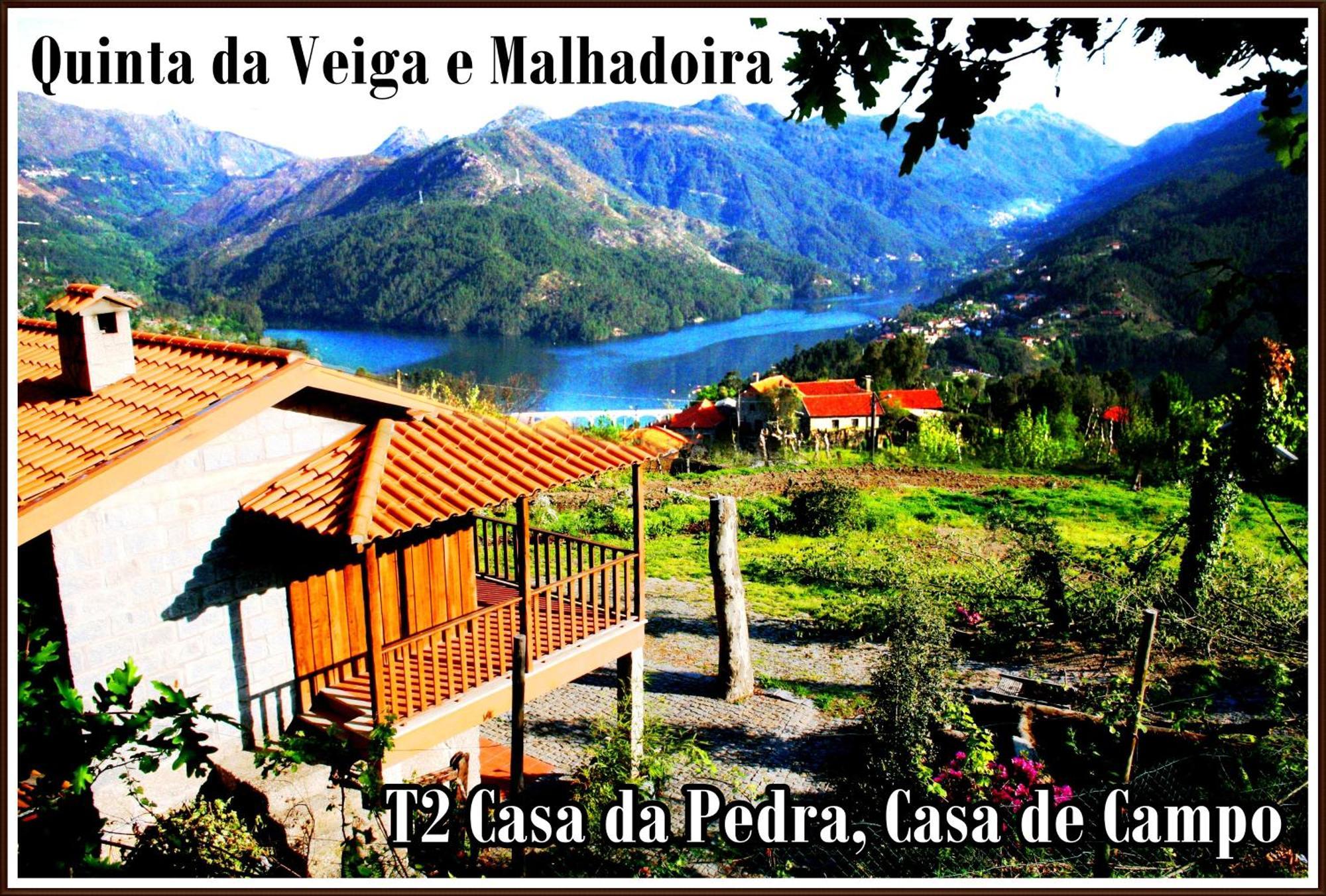 Quinta Da Veiga E Malhadoira Pension Vieira do Minho Buitenkant foto
