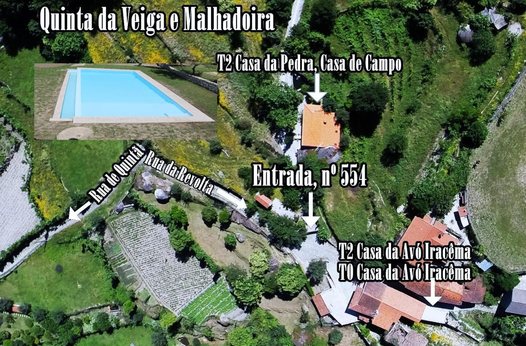 Quinta Da Veiga E Malhadoira Pension Vieira do Minho Buitenkant foto